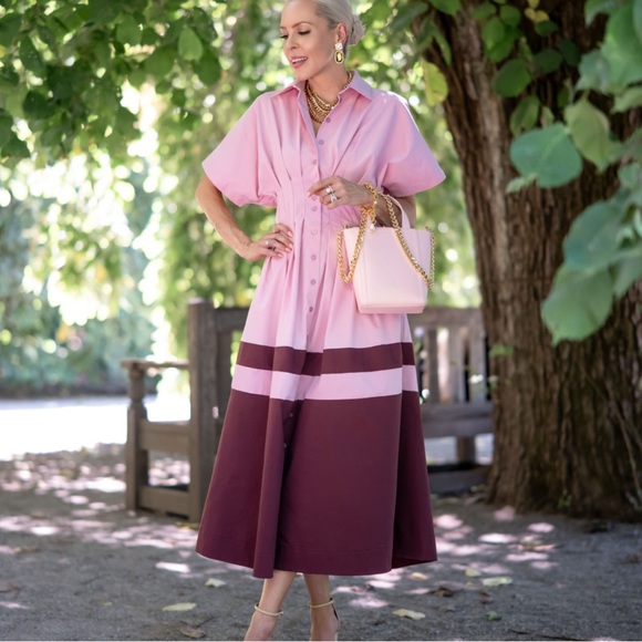 Anthropologie Dresses & Skirts - Anthropologie Pink and Burgundy Tobie Dress